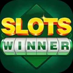 Image for Slots Winner